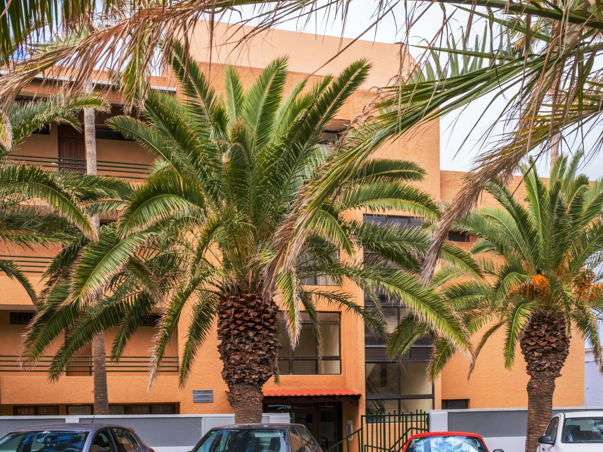 Live Punta Columbus Pool & Beach Front Punta Del Hidalgo Exterior photo